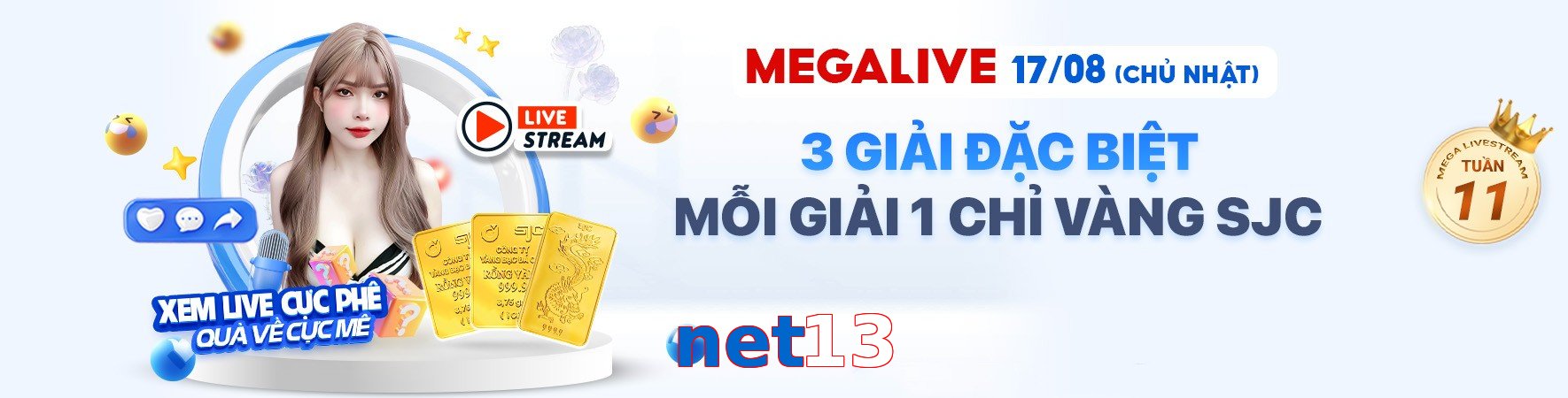net13