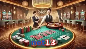 net13