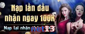 net13
