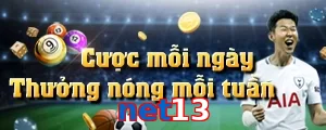 net13